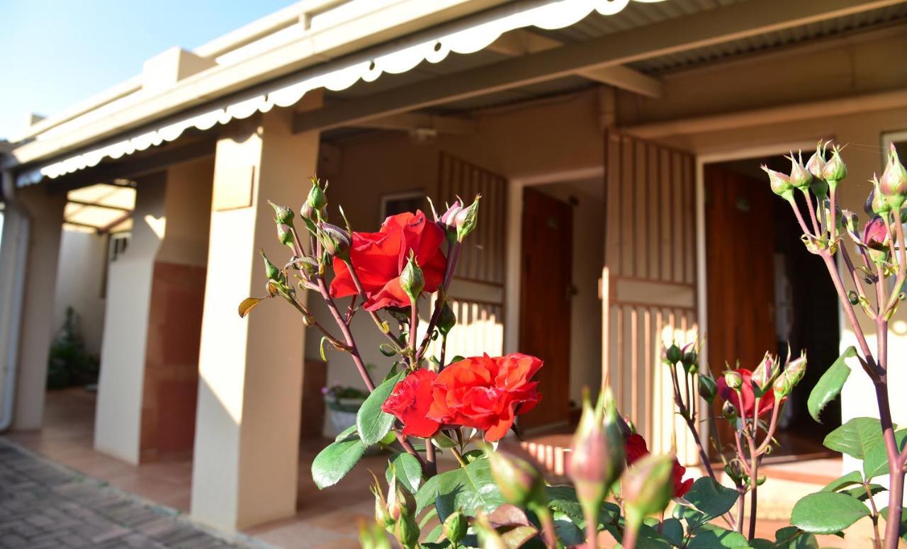 Villa Moria Peace Cottage Dullstroom Bagian luar foto